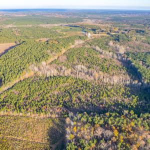 Photo #6 of Off Country Club Lane , Warrenton, NC 62.0 acres