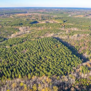 Photo #8 of Off Country Club Lane , Warrenton, NC 62.0 acres
