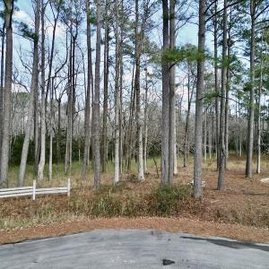 Photo #11 of SOLD property in Lot 140 Mockernut Ln, Washington, NC 4.1 acres