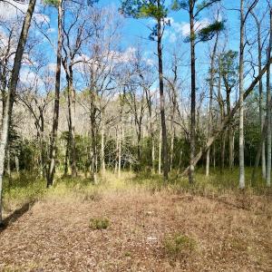 Photo #12 of SOLD property in Lot 140 Mockernut Ln, Washington, NC 4.1 acres