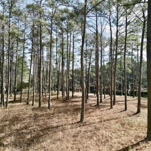 Photo #13 of SOLD property in Lot 140 Mockernut Ln, Washington, NC 4.1 acres