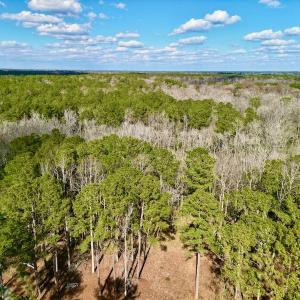Photo #2 of SOLD property in Lot 140 Mockernut Ln, Washington, NC 4.1 acres