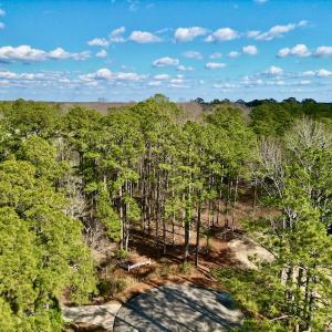 Photo #3 of SOLD property in Lot 140 Mockernut Ln, Washington, NC 4.1 acres