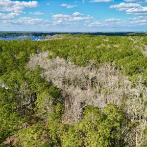 Photo #4 of SOLD property in Lot 140 Mockernut Ln, Washington, NC 4.1 acres