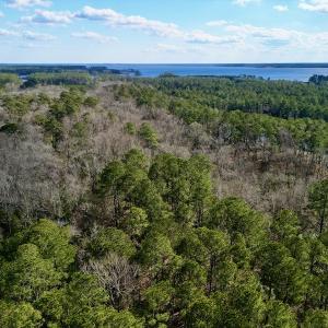 Photo #9 of SOLD property in Lot 140 Mockernut Ln, Washington, NC 4.1 acres