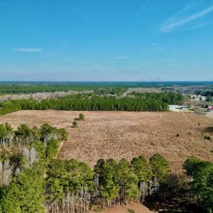 Photo #11 of SOLD property in 4345 Shiloh Rd, Watha, NC 75.0 acres