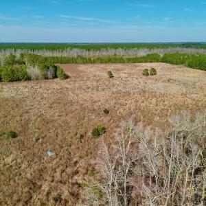Photo #13 of SOLD property in 4345 Shiloh Rd, Watha, NC 75.0 acres