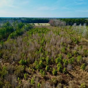 Photo #15 of SOLD property in 4345 Shiloh Rd, Watha, NC 75.0 acres