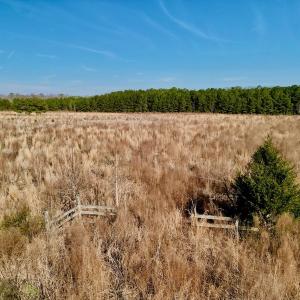 Photo #18 of SOLD property in 4345 Shiloh Rd, Watha, NC 75.0 acres