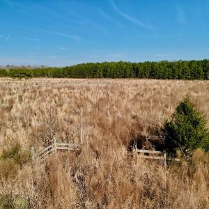 Photo #18 of SOLD property in 4345 Shiloh Rd, Watha, NC 75.0 acres