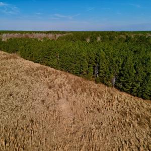 Photo #19 of SOLD property in 4345 Shiloh Rd, Watha, NC 75.0 acres