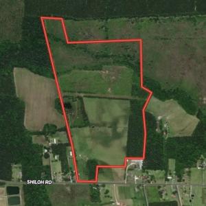 Photo #1 of SOLD property in 4345 Shiloh Rd, Watha, NC 75.0 acres