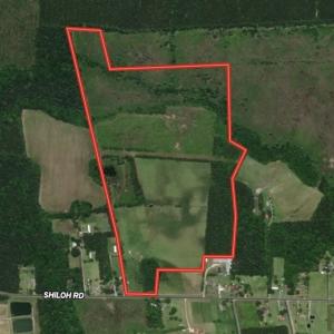 Photo #1 of SOLD property in 4345 Shiloh Rd, Watha, NC 75.0 acres