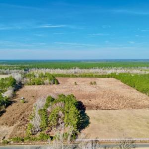 Photo #2 of SOLD property in 4345 Shiloh Rd, Watha, NC 75.0 acres