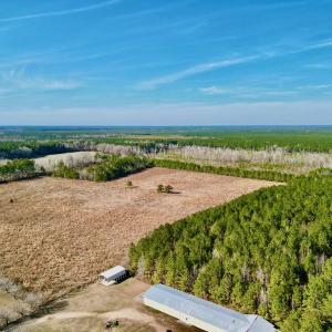 Photo #3 of SOLD property in 4345 Shiloh Rd, Watha, NC 75.0 acres