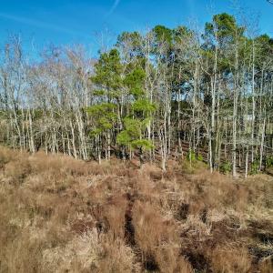 Photo #21 of SOLD property in 4345 Shiloh Rd, Watha, NC 75.0 acres