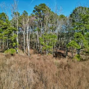 Photo #22 of SOLD property in 4345 Shiloh Rd, Watha, NC 75.0 acres