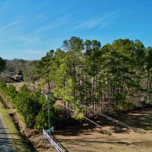 Photo #26 of SOLD property in 4345 Shiloh Rd, Watha, NC 75.0 acres