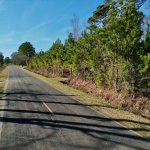 Photo #27 of SOLD property in 4345 Shiloh Rd, Watha, NC 75.0 acres