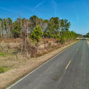 Photo #28 of SOLD property in 4345 Shiloh Rd, Watha, NC 75.0 acres