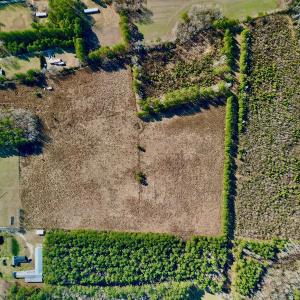 Photo #29 of SOLD property in 4345 Shiloh Rd, Watha, NC 75.0 acres