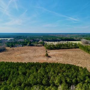 Photo #4 of SOLD property in 4345 Shiloh Rd, Watha, NC 75.0 acres