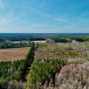 Photo #5 of SOLD property in 4345 Shiloh Rd, Watha, NC 75.0 acres