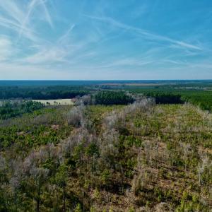 Photo #6 of SOLD property in 4345 Shiloh Rd, Watha, NC 75.0 acres