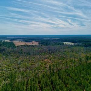 Photo #7 of SOLD property in 4345 Shiloh Rd, Watha, NC 75.0 acres