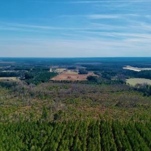 Photo #8 of SOLD property in 4345 Shiloh Rd, Watha, NC 75.0 acres