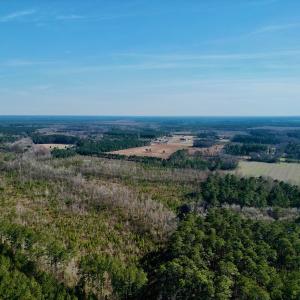 Photo #9 of SOLD property in 4345 Shiloh Rd, Watha, NC 75.0 acres