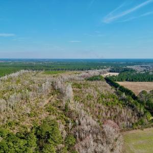 Photo #10 of SOLD property in 4345 Shiloh Rd, Watha, NC 75.0 acres