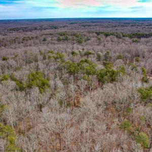 Photo #2 of 9609 Catharpin Road, Spotsylvania, VA 18.1 acres