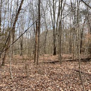 Photo #3 of 9609 Catharpin Road, Spotsylvania, VA 18.1 acres