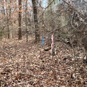 Photo #4 of 9609 Catharpin Road, Spotsylvania, VA 18.1 acres