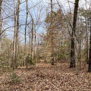 Photo #6 of 9609 Catharpin Road, Spotsylvania, VA 18.1 acres