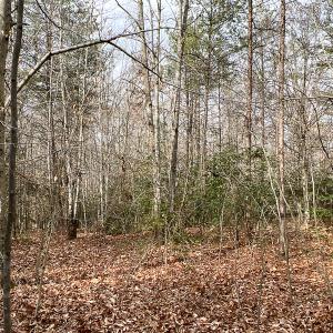 Photo #7 of 9609 Catharpin Road, Spotsylvania, VA 18.1 acres