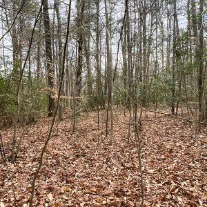 Photo #8 of 9609 Catharpin Road, Spotsylvania, VA 18.1 acres