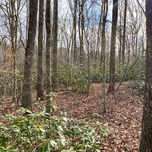 Photo #10 of 9609 Catharpin Road, Spotsylvania, VA 18.1 acres