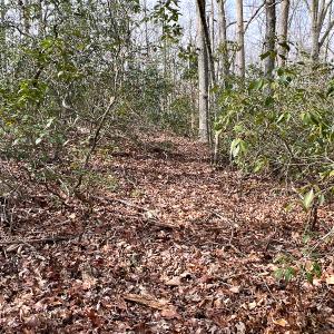 Photo #11 of 9609 Catharpin Road, Spotsylvania, VA 18.1 acres