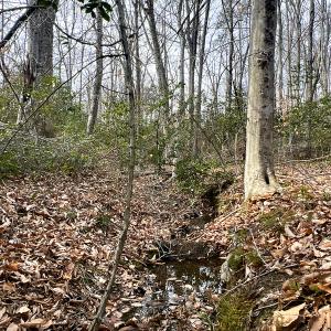 Photo #12 of 9609 Catharpin Road, Spotsylvania, VA 18.1 acres