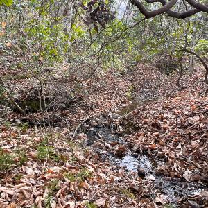 Photo #13 of 9609 Catharpin Road, Spotsylvania, VA 18.1 acres