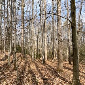 Photo #17 of 9609 Catharpin Road, Spotsylvania, VA 18.1 acres