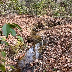 Photo #19 of 9609 Catharpin Road, Spotsylvania, VA 18.1 acres