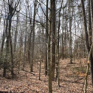 Photo #21 of 9609 Catharpin Road, Spotsylvania, VA 18.1 acres