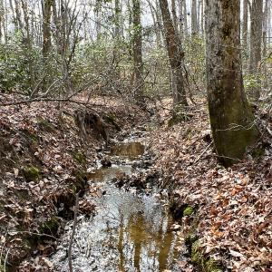 Photo #23 of 9609 Catharpin Road, Spotsylvania, VA 18.1 acres