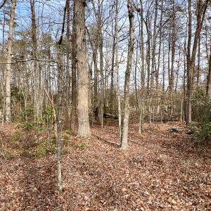 Photo #25 of 9609 Catharpin Road, Spotsylvania, VA 18.1 acres