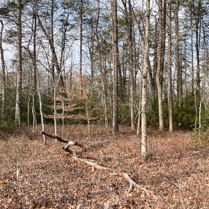 Photo #26 of 9609 Catharpin Road, Spotsylvania, VA 18.1 acres