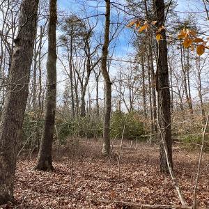 Photo #27 of 9609 Catharpin Road, Spotsylvania, VA 18.1 acres
