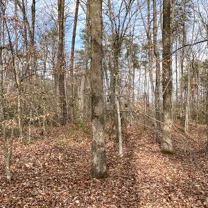 Photo #28 of 9609 Catharpin Road, Spotsylvania, VA 18.1 acres